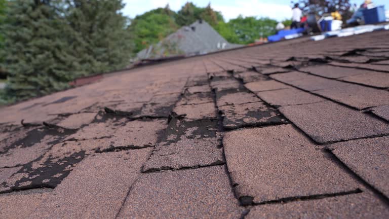 Roof Insulation in West Grove, PA