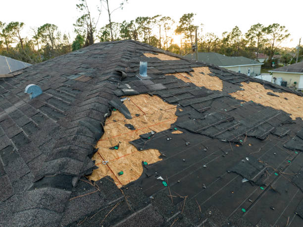 Best Roof Coating and Sealing  in West Grove, PA